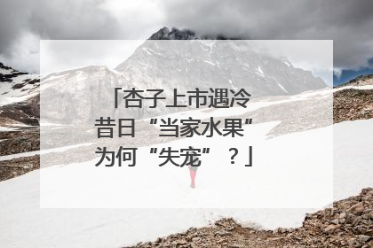 杏子上市遇冷 昔日“当家水果”为何“失宠”？